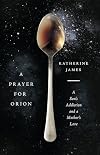 A Prayer for Orion: A Son's Addiction and a Mother's Love