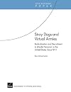 Stray dogs and virtual armies : radicalization and recruitment to Jihadist terrorism in the United States Since 9/11