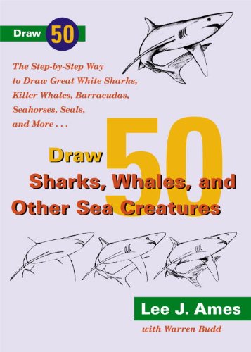 Cover of Draw 50 Sharks, Whales, and Other Sea Creatures