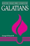 Galatians (Believers Church Bible Commentary)