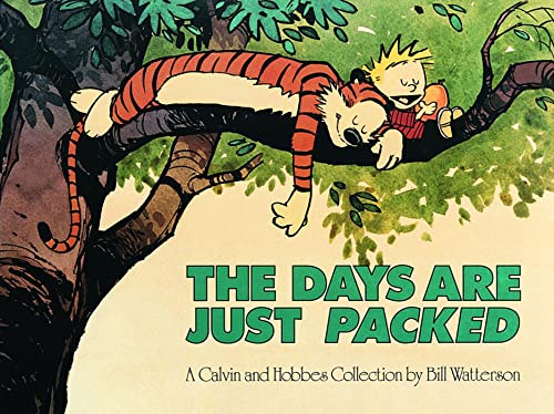 The Days Are Just Packed book cover