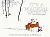 It's A Magical World: A Calvin and Hobbes Collection