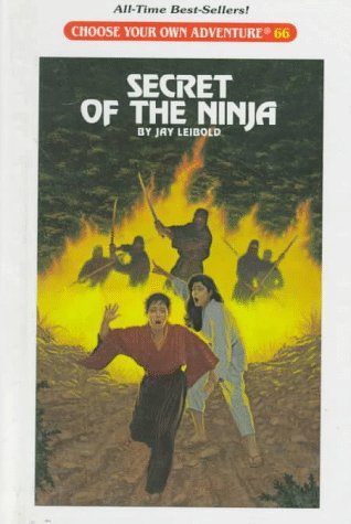 Secret of the Ninja book cover
