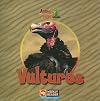 Vultures (Animals That Live in the Desert)
