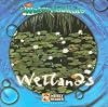 Wetlands (Water Habitats)