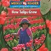 How Tulips Grow (Weekly Reader: How Plants Grow)