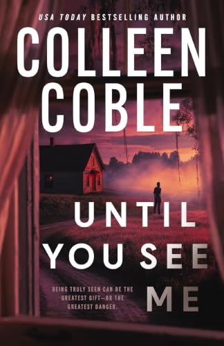 Until You See Me book cover