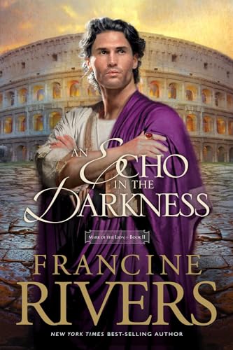 An Echo in the Darkness book cover