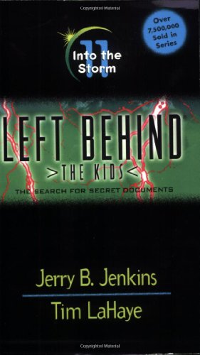 Into the Storm book cover