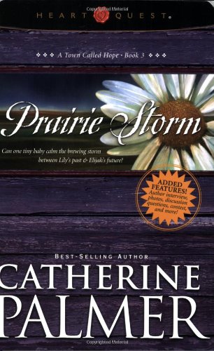 Prairie Storm book cover