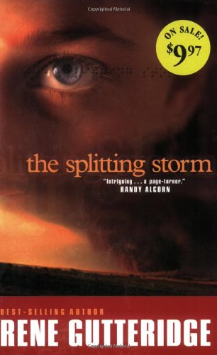 The Splitting Storm book cover