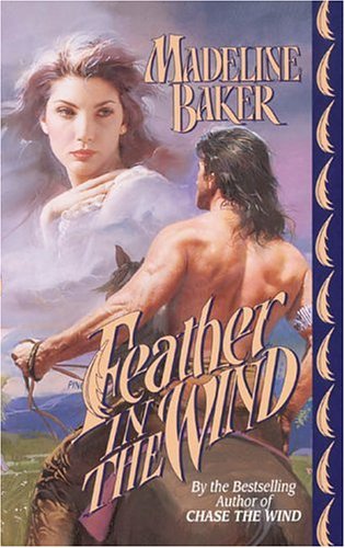 Feather in the Wind book cover