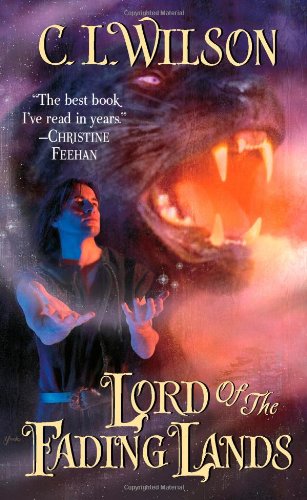Lord of the Fading Lands book cover