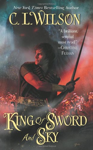 King of Sword and Sky book cover