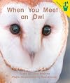 When You Meet an Owl (Seedlings)