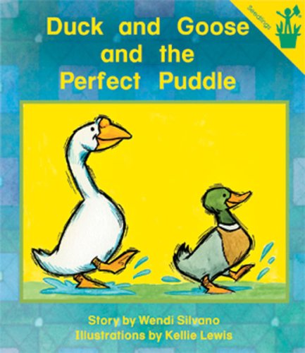 Duck and Goose and the Perfect Puddle book cover