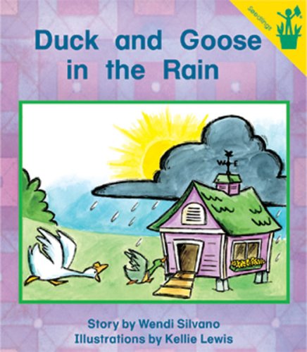 Duck and Goose in the Rain book cover