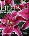 Lilies: A Guide to Choosing and Growing Lilies
