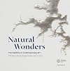Natural Wonders: The Sublime in Contemporary Art: Thirteen Artists Explore Nature's Limits