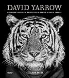 David Yarrow Photography: Americas Africa Antarctica Arctic Asia Europe
