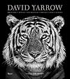 David Yarrow Photography: Americas Africa Antarctica Arctic Asia Europe