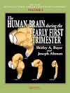 The Human Brain During the Early First Trimester