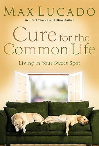 Cure for the Common Life book cover