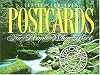 Postcards for People Who Hurt