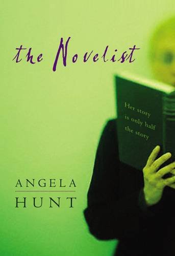 The Novelist book cover
