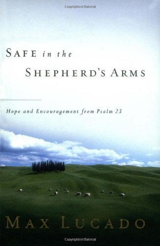 Safe in the Shepherd's Arms book cover