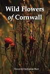 Wild Flowers of Cornwall