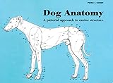 Dog Anatomy