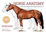 Horse Anatomy A Pictorial Approach To Equine Structure