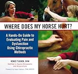 Where Does My Horse Hurt