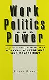 Work, Politics, and Power: An International Perspective on Workers' Control and Self-Management