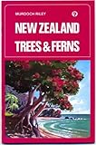 New Zealand Trees And Ferns