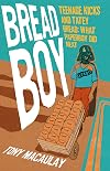 Breadboy: Teenage Kicks and Tatey Bread: What Paperboy Did Next