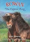 Rowan The Exmoor Pony