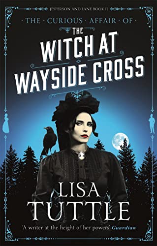 The Witch at Wayside Cross book cover