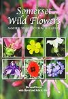 Somerset Wild Flowers