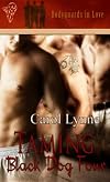 Taming Black Dog Four