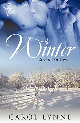 Winter book cover