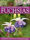 The Illustrated Gardeners Guide To Growing Fuchsias The Complete Guide To Cultivating Fuchsias With Stepbystep Gardening Techniques An 500 Varieties And 800 Beautiful Photographs