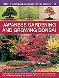 The Practical Illustrated Guide To Japanese Gardening And Growing Bonsai Essential Advice Stepbystep Techniques And Projects Plans Plant Listings And Over 1500 Photographs And Illustrations