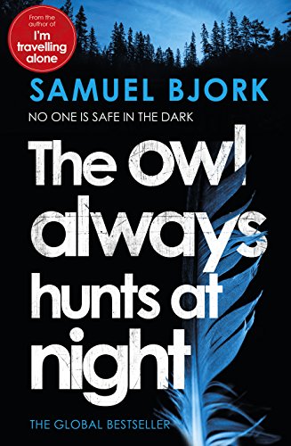 The Owl Always Hunts At Night book cover