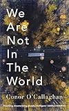 We Are Not in the World