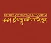 Deities of Tibetan Buddhism: The Zurich Paintings of the Icons Worthwhile to See