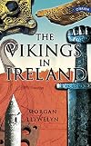 The Vikings In Ireland (Exploring)