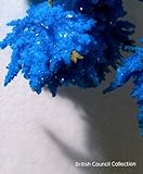 Imatge de portada d'Amazon