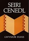 Welsh nation builders